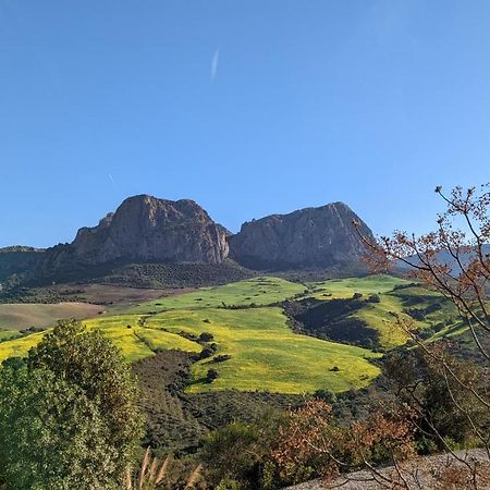 Bed and Breakfast Cortijo Sylvestre Ríogordo Zewnętrze zdjęcie