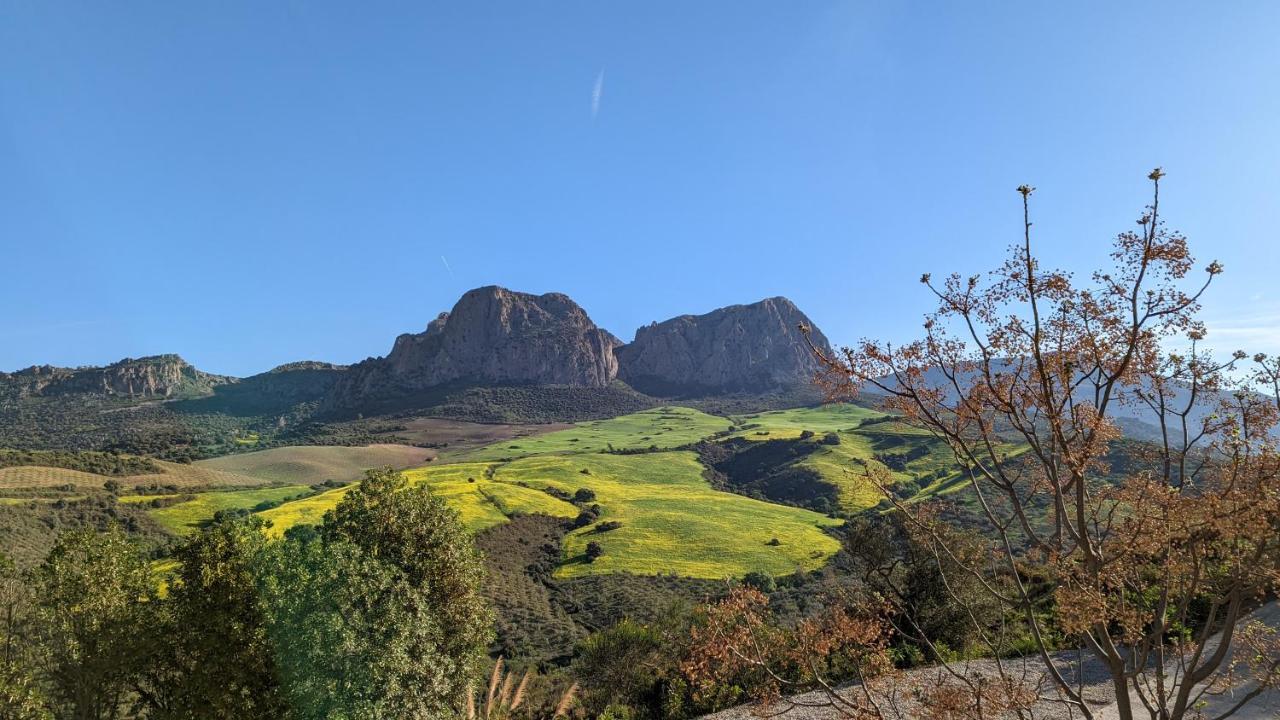 Bed and Breakfast Cortijo Sylvestre Ríogordo Zewnętrze zdjęcie